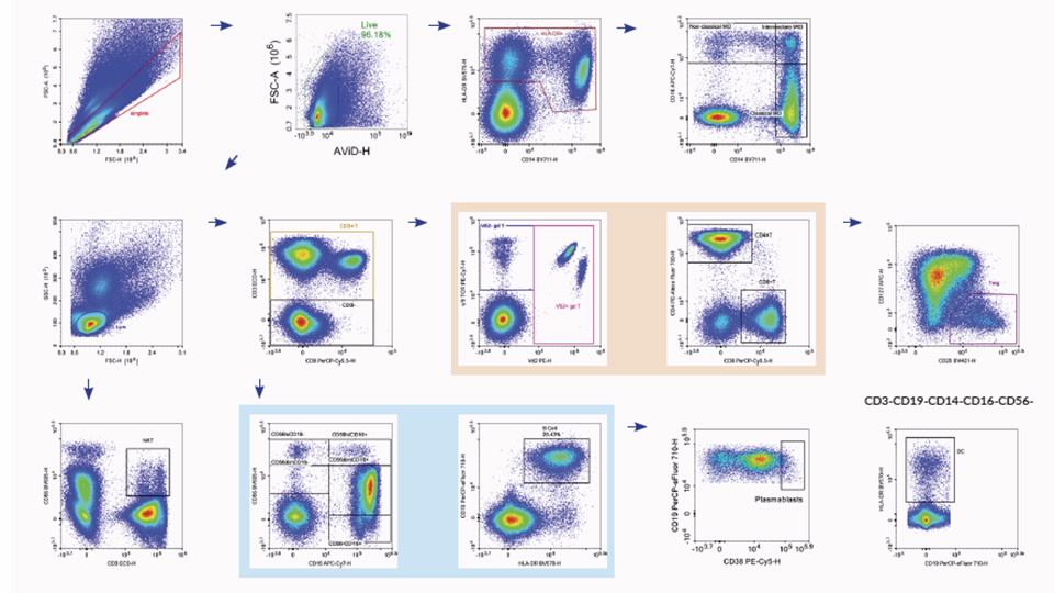 flow cytometry immunophenotyping 960x540